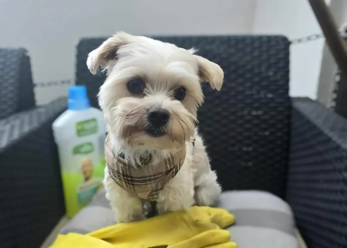 Casa Azul Hx 아파트